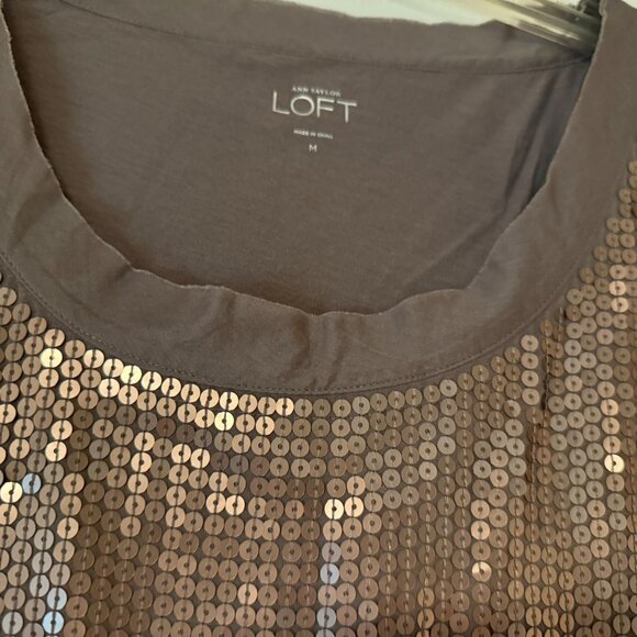 Loft Taupe Sleeveless Sequin Front Blouse - Medium - Picture 3 of 8
